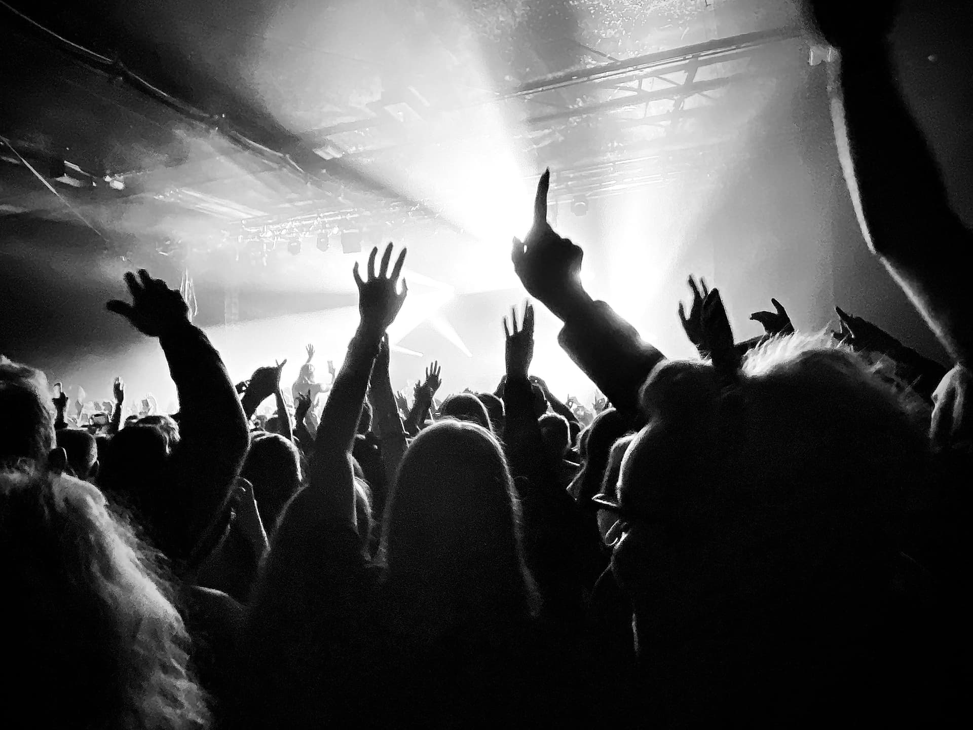 People at a concert pointing in the air